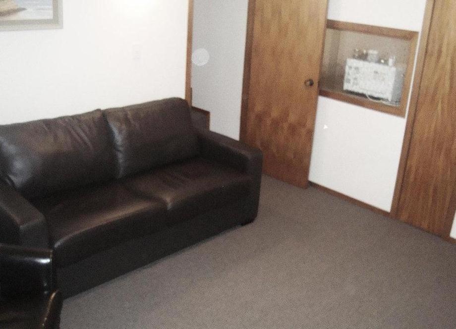 Browns Bay Olive Tree Motel & Apartment Okura Bush Room photo