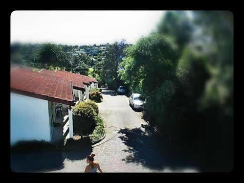 Browns Bay Olive Tree Motel & Apartment Okura Bush Exterior photo
